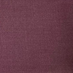 aubergine