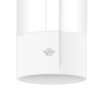 1-button-white